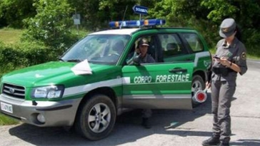 corpo forestale