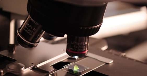 laboratorio ricerca