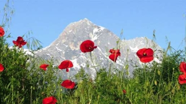 Abruzzo