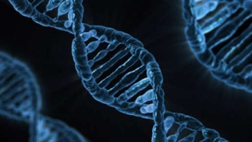 Biologia Scienze