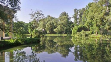 parco alberi piante