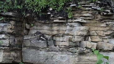 Roccia Geologia