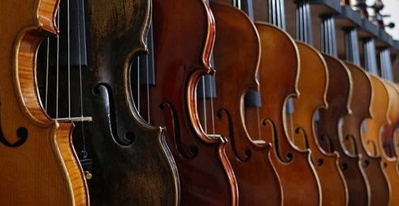 Violino Musica
