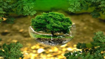 ecosostenibile biodiversita natura