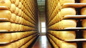 parmigiano reggiano
