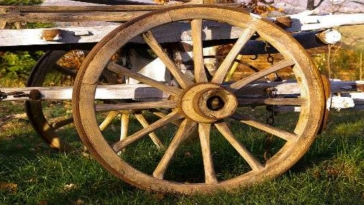 azienda agricola, agricoltura