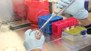 ricerca scientifica medicina