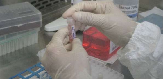 ASST Sette Laghi Incarichi A Biologi O Biotecnologi