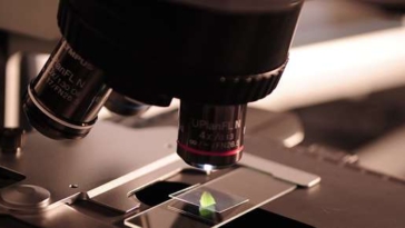 laboratorio ingegnere biologia