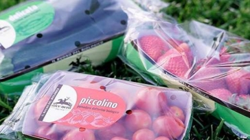 alce nero prodotti bio