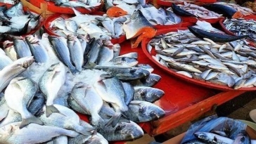 pesca, pesci