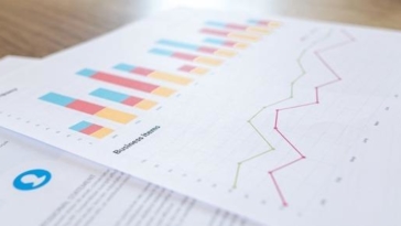 servizi demografici grafici