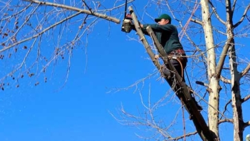 operaio forestale