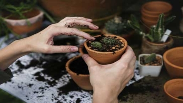 lavorare verde giardino