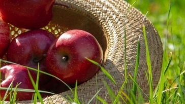 agroalimentare