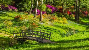 parco, parchi