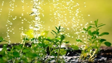 acqua, agricoltura, irrigare