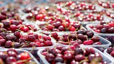 produzione, frutta, ciliege