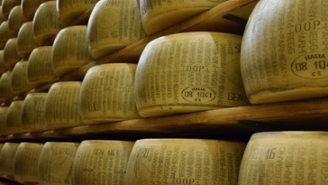parmigiano reggiano