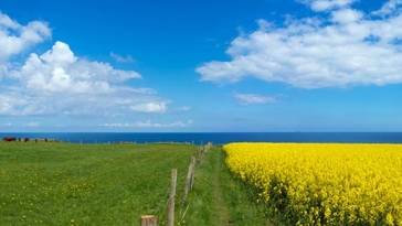 agricoltura, ambiente