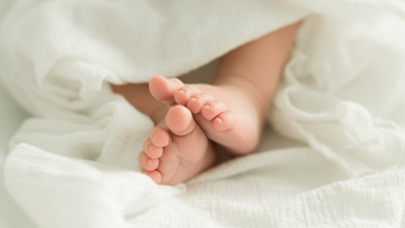 bebe, bambino, figlio