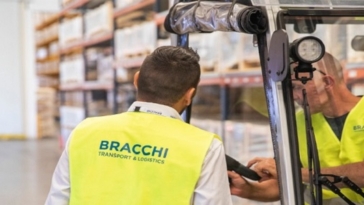 bracchi