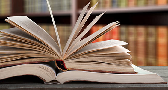 biblioteca, bibliotecari