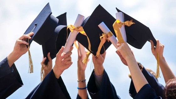 laurea, laureati