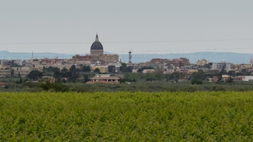 Cerignola (Foggia)