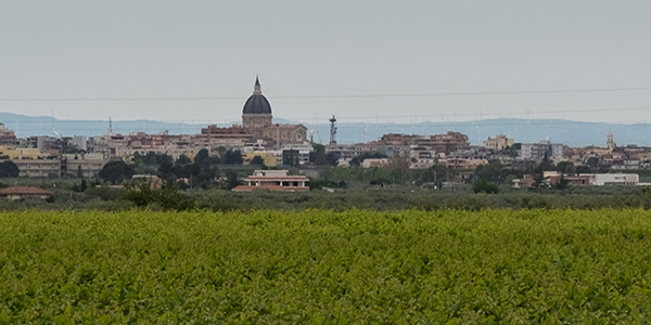 Cerignola (Foggia)