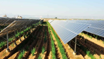 Impianto agrivoltaico, agricoltura, fotovoltaico