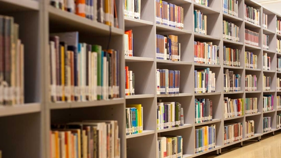 libri, biblioteca, archivista, bibliotecario