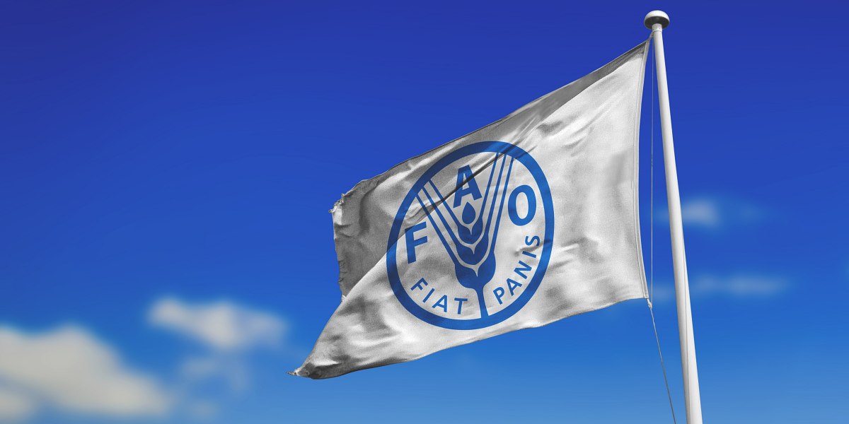 FAO, bandiera