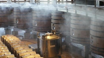 produzione, vino