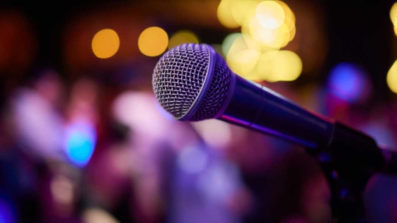 cantante, cantanti, musicisti