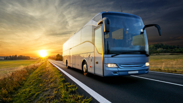 autobus, bus