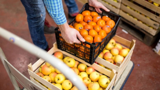 Agroalimentare, mercati generali, deposito, frutta, verdura