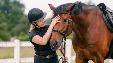 cavallo