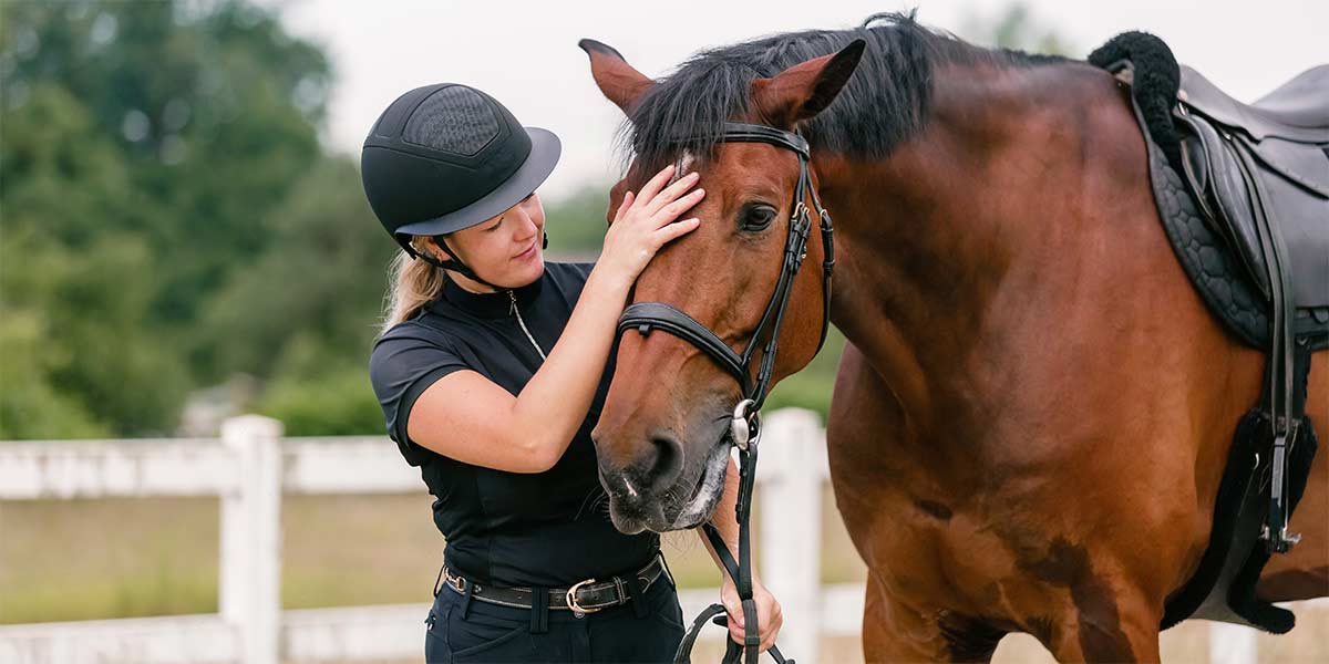 cavallo