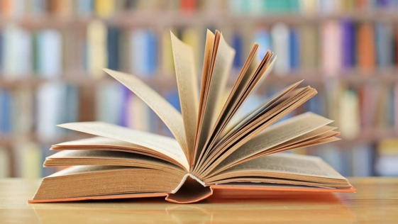 bibliotecario, bibliotecari