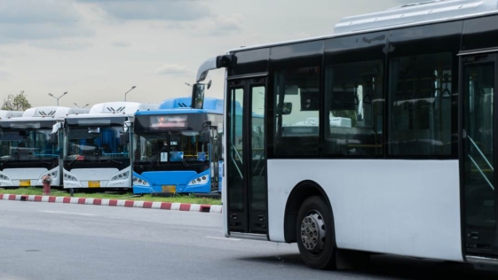 Autobus, bus, trasporti