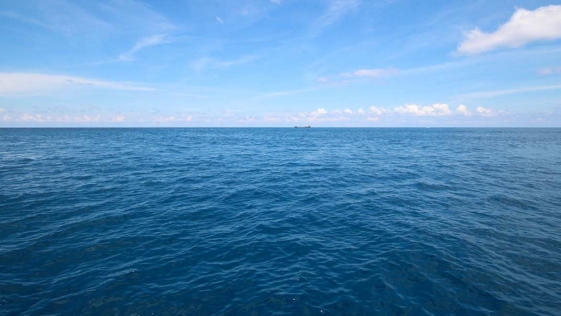 mare, marinai