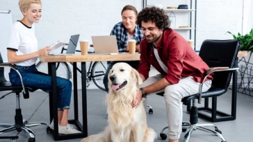 animali, ufficio, lavoro