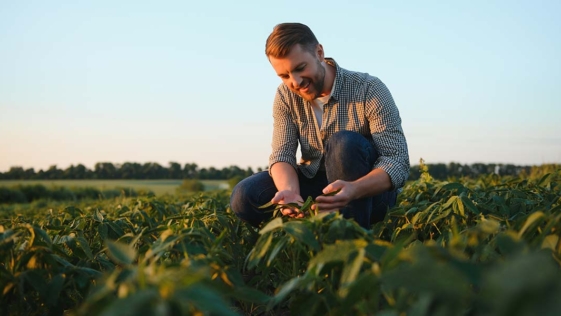 agricoltura, agricoltori