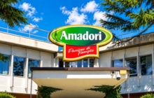 Amadori sede