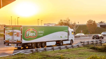 Fileni