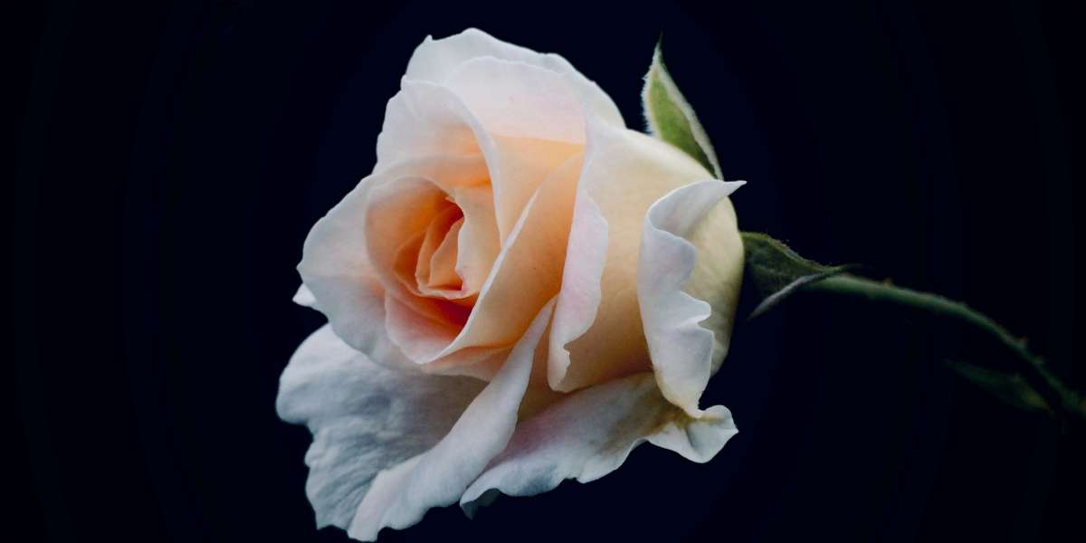 Taffo, Franchising, Agenzia Funebre