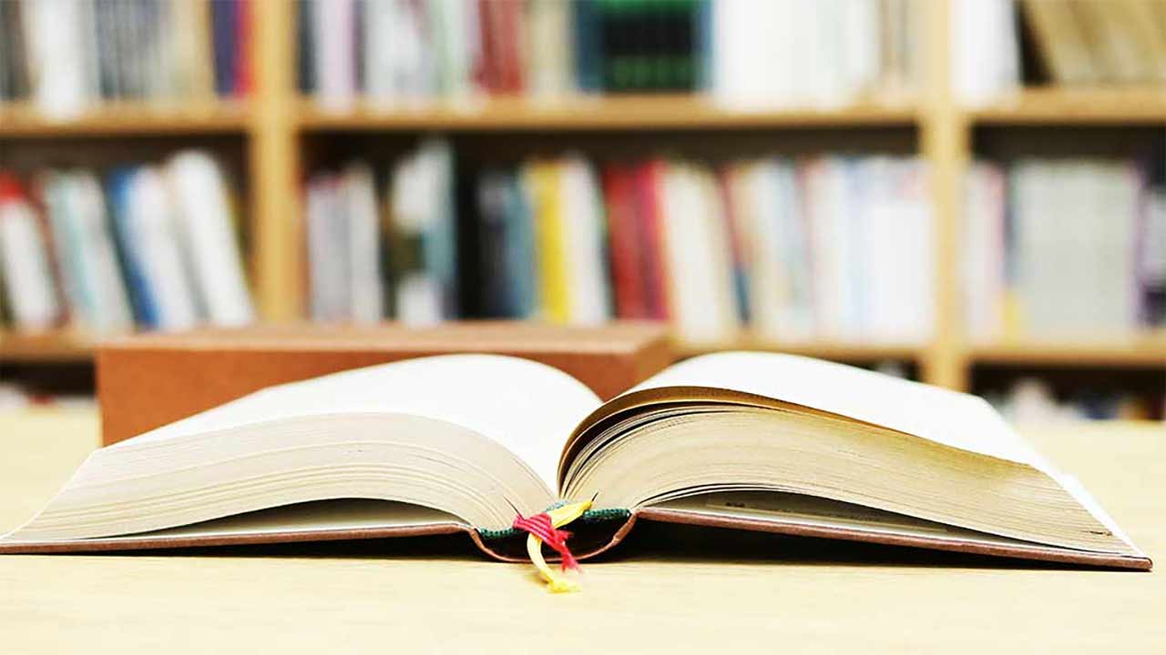 bibliotecari, bibliotecario, biblioteca