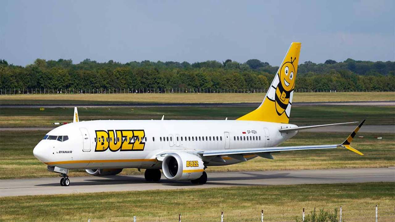 Buzz, Aereo