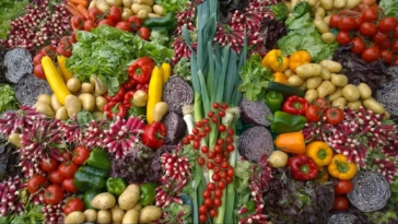 Centro Agroalimentare Roma, CAR, mercato ortofrutticolo